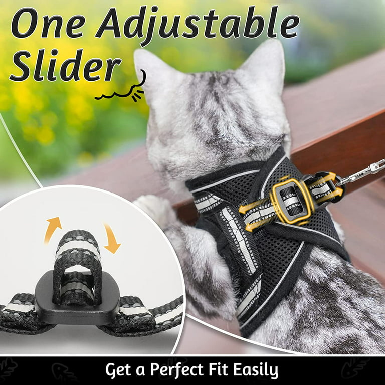 PetBonus 2 Pack Cat Leashes, Reflective Walking Nylon Leash, Escape Proof  Clip and Cat Seat Belt, Pet Leash with 360 Degree Swivel Clip for Kittens,  Puppies, Rabbits, Small Animals Black, Black