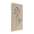 thumbnail image 4 of Stupell Industries Flower Sprig Sketch Botanical & Floral Drawing Unframed Art Print Wall Art, 13 x 19, 4 of 8