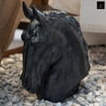 thumbnail image 2 of Draxen Polyresin Horse Head Figurine, 2 of 7