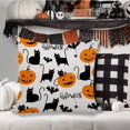 thumbnail image 2 of Halloween Pillow Covers 18x18 Set of 2 Autumn Decorative Seamless Black Cat Pumpkin Face Skull Crow Throw Pillow Cases Cushion Covers Farmhouse,Thanksgiving,Home Décor, 2 of 6