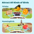 thumbnail image 3 of Bird Perch NETVUE Birdfy Pro Perch con complementos para Bird Lover, 3 of 5