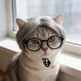 thumbnail image 1 of BotaniNest Funny Cat Cosplay Headwear Apparel Cat Dress Up For Parties Festivals For Small Medium And Large, 1 of 3