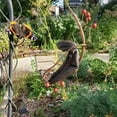 thumbnail image 4 of Premium Butterfly Feeder - Outdoor Hanging Banana Hammock for Butterflies & Birds, Garden Decor Hanger with Banana Bird Butterfly Feeder, 4 of 9