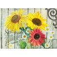 thumbnail image 2 of Art Licensing Studio 18x14 White Modern Wood Framed Museum Art Print Titled - Farm Seed Sunflowers, 2 of 4