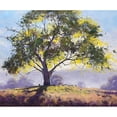thumbnail image 3 of Gercken, Graham 14x12 Black Modern Framed Museum Art Print Titled - Sofala Gum, 3 of 5