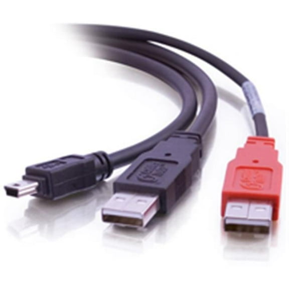 6ft USB 2.0 One Mini-b Male to Two A Male Y-Cable