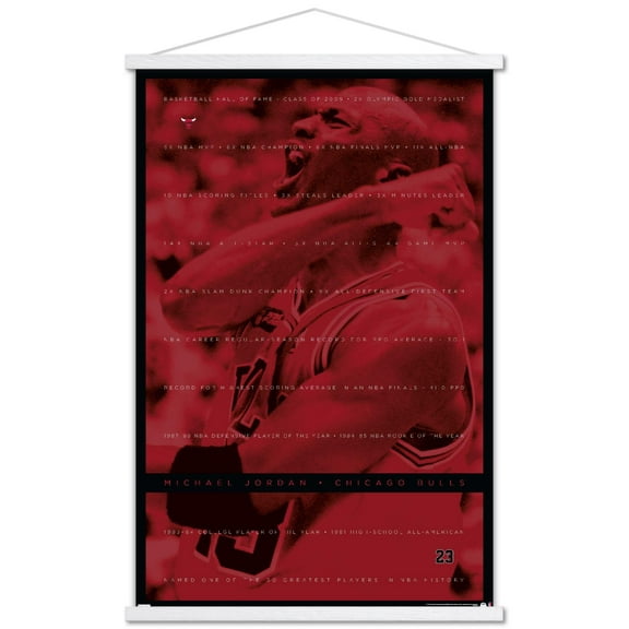 Michael Jordan - Achievements Wall Poster with Wooden Magnetic Frame, 22.375" x 34"