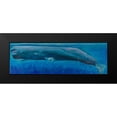 thumbnail image 2 of Atelier B Art Studio 18x8 Black Modern Framed Museum Art Print Titled - Sperm Whale, 2 of 5