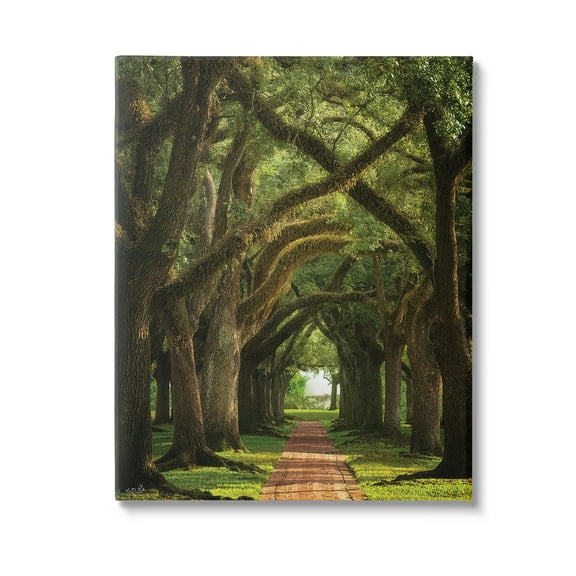 Stupell Industries Shadowed Tree Grove Landscape Photography Gallery Wrapped Canvas Art Print Wall Art, 16 x 20