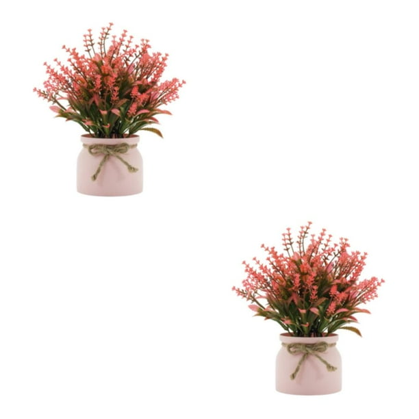 Macetas falsas para plantas Inteprter 2piezas Rojo