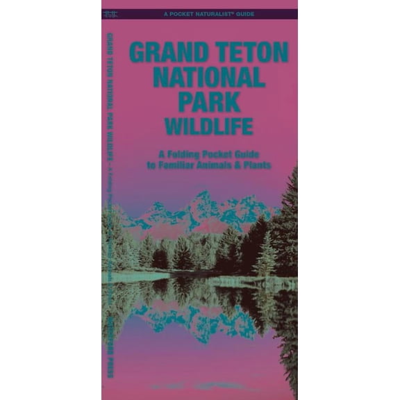 Grand Teton National Park Wildlife