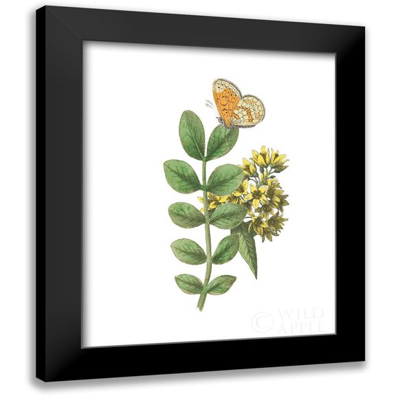 Wild Apple Portfolio 12x14 Black Modern Framed Museum Art Print Titled - Greenery Butterflies II