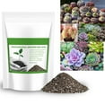 thumbnail image 2 of Njshnmn Succulent Cactus Potting Soil Mix All Purpose Garden Potting Mix For Indoor Outdoor Quick Drain Orchid Bonsai Perlite Soil Ready To Use Resealable Bag Design, 2 of 9