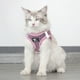 thumbnail image 2 of Correa Gato TFixol Rosa S, 2 of 6