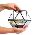 thumbnail image 6 of Creations by Nathalie | Geometric Terrarium | Handmade in USA - Assembled 6" x 6" x 7", 6 of 12