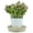 L-10, variant on Vase/Flower Pot Rustic Small Metal Succulent Plant Container Bucket with 'Flowers & Garden' Quote and Handles Balcony Decor M