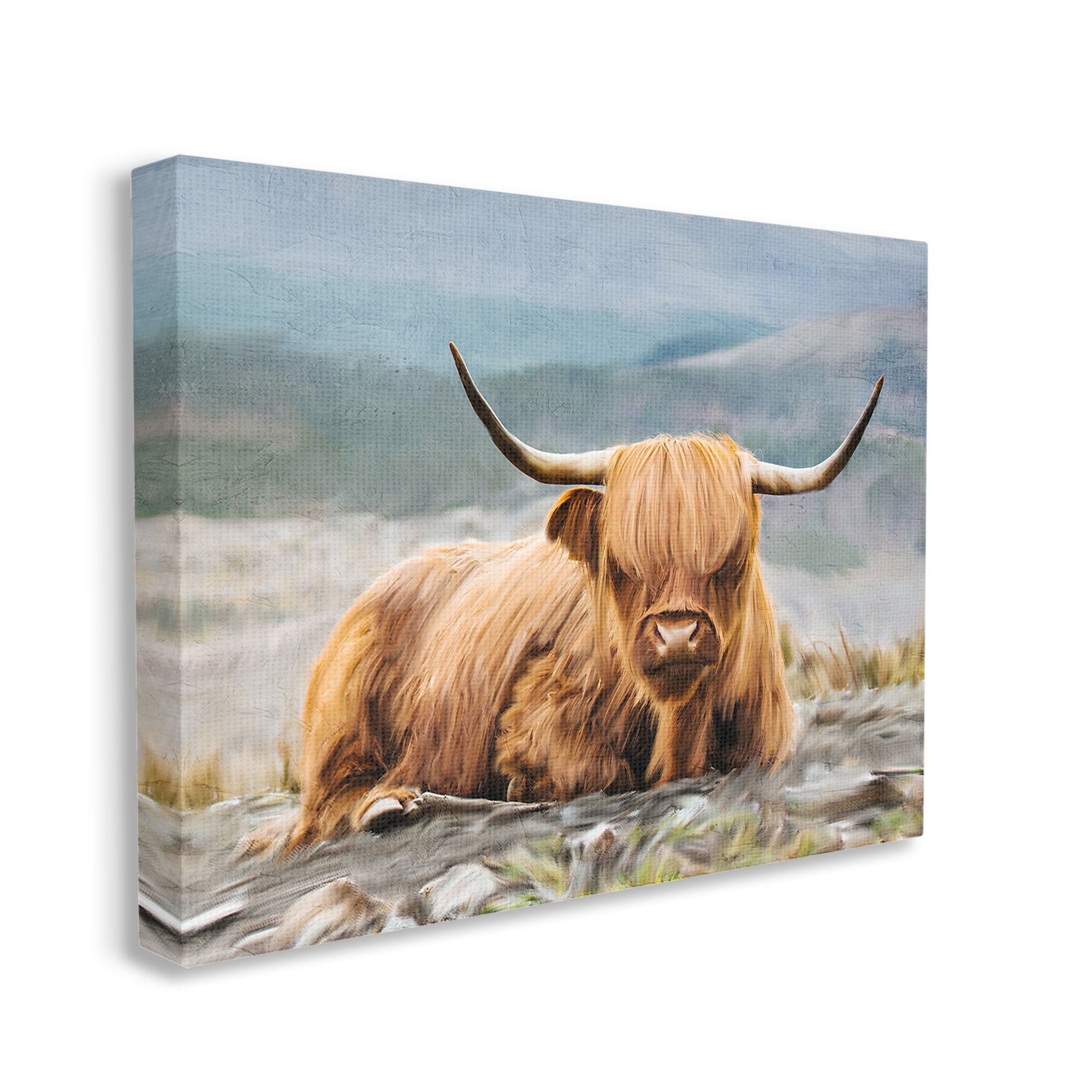 Stupell Industries Cattle Resting in Nature Animals & Insects Photography Gallery Wrapped Canvas Art Print Wall Art, 30 x 24
