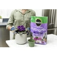 thumbnail image 6 of Miracle-Gro African Violet Potting Mix, 8 qt., Feeds for Up To 6 Months, 6 of 6
