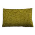 thumbnail image 1 of Ahgly Company Indoor Rectangular Contemporary Lumbar Throw Pillow, 13 inch by 19 inch, 1 of 5
