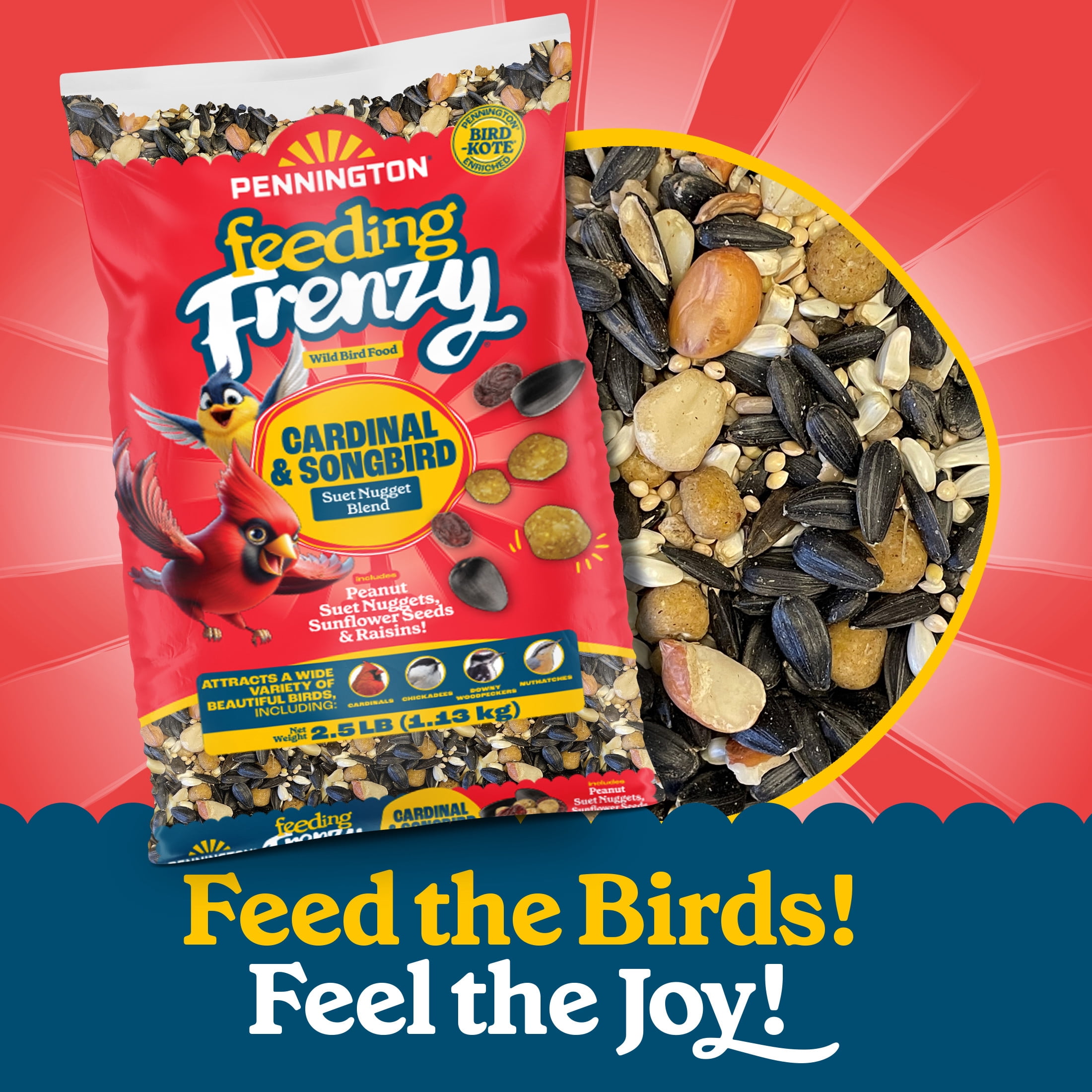 Pennington Feeding Frenzy Cardinal and Songbird, Wild Bird Food Blend, 2.5 lb