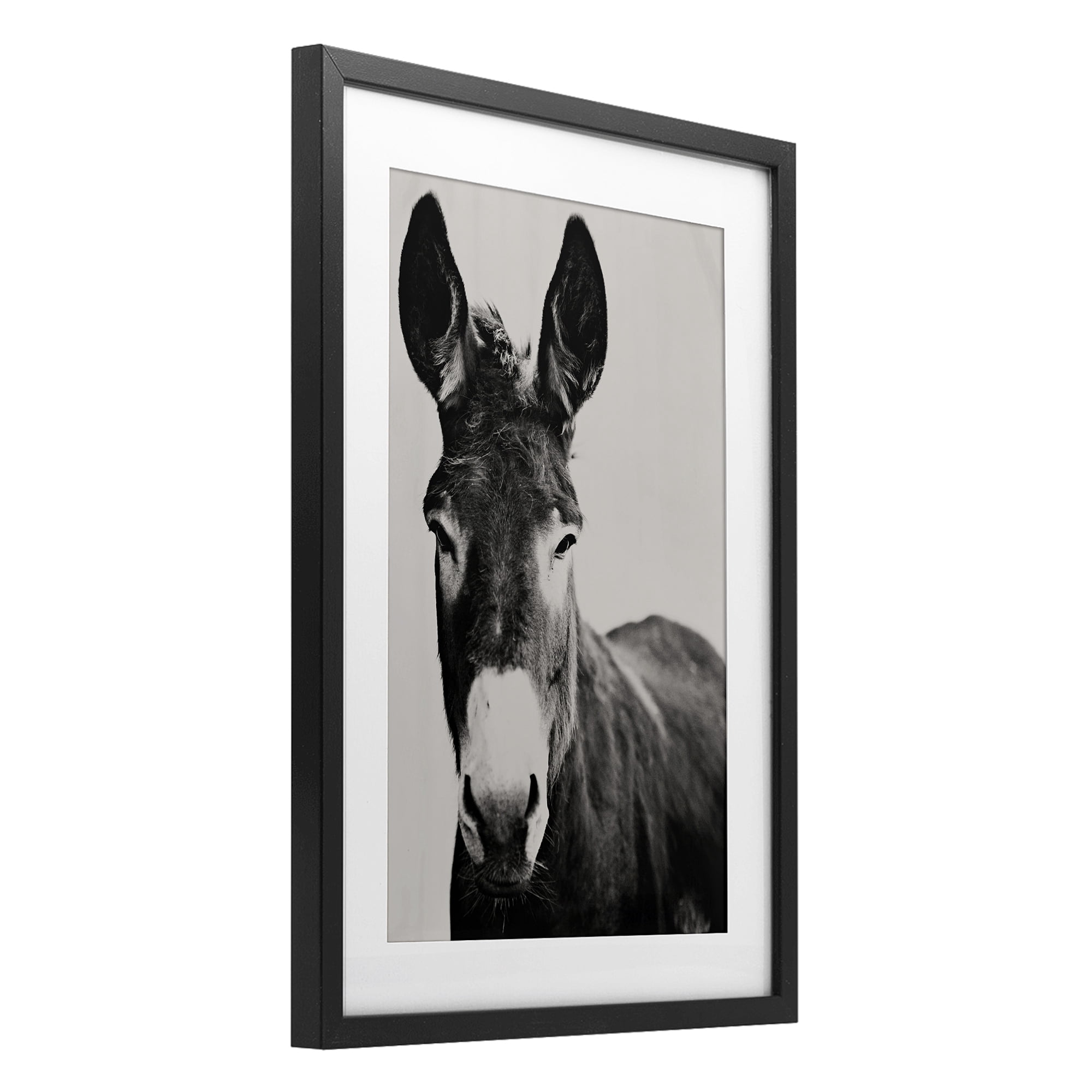 Stupell Industries Franz the Donkey Portrait Black Framed Print Under Glass, design by Amy Carroll
