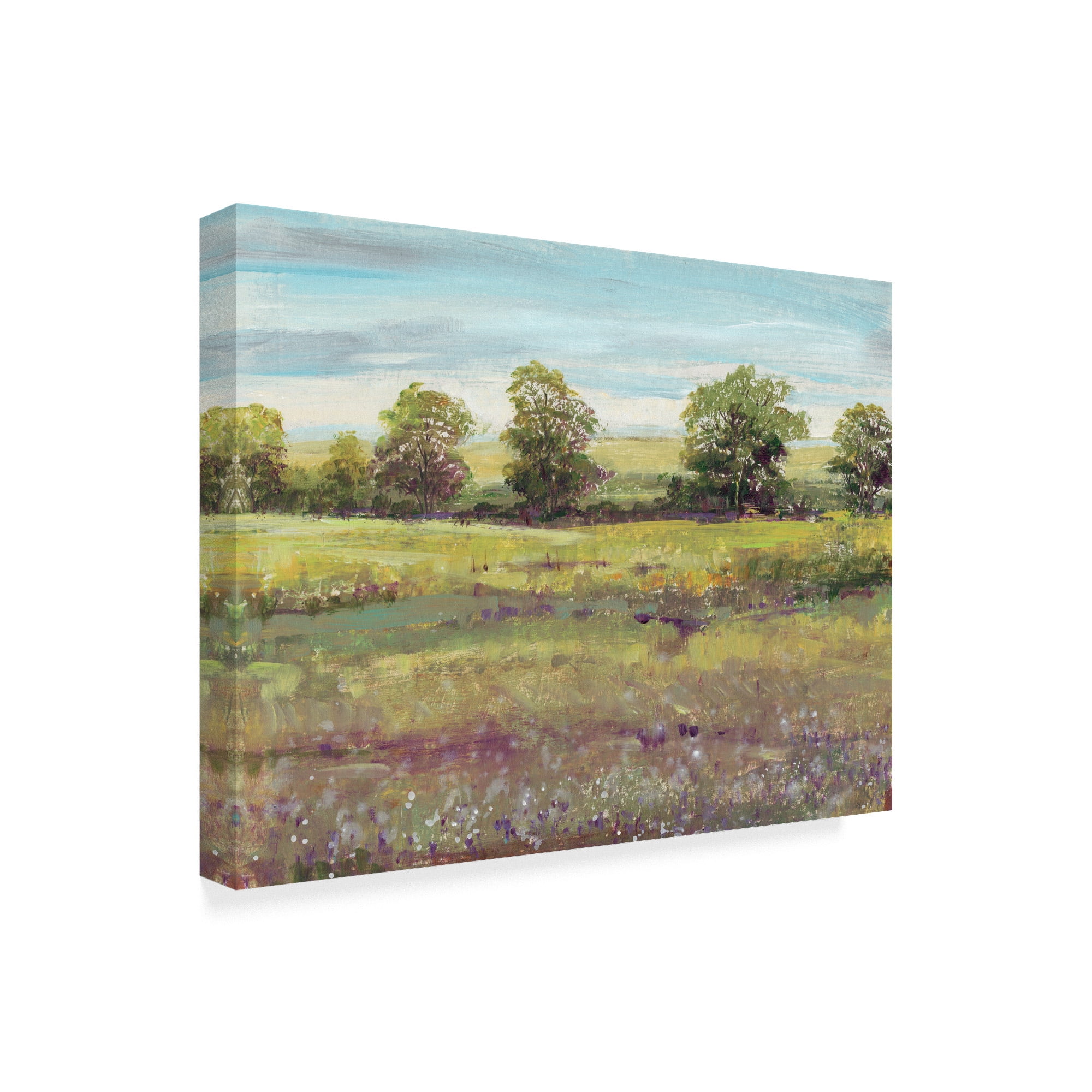 Trademark Fine Art 'Abundant Spring I' Canvas Art by Tim OToole