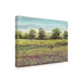 thumbnail image 2 of Trademark Fine Art 'Abundant Spring I' Canvas Art by Tim OToole, 2 of 4
