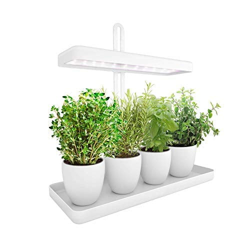 Led Indoor Herb Garden Height Adjustable Growled Plant Grow Indoor Garden Light Led Germination Kit With Smart Timer Suitable For Various Plants White Light - Walmartcom