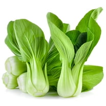 Earthcare Seeds - Pak Choi 250 Seeds (Brassica Rapa Subsp. Chinensis) Heirloom - Open Pollinated