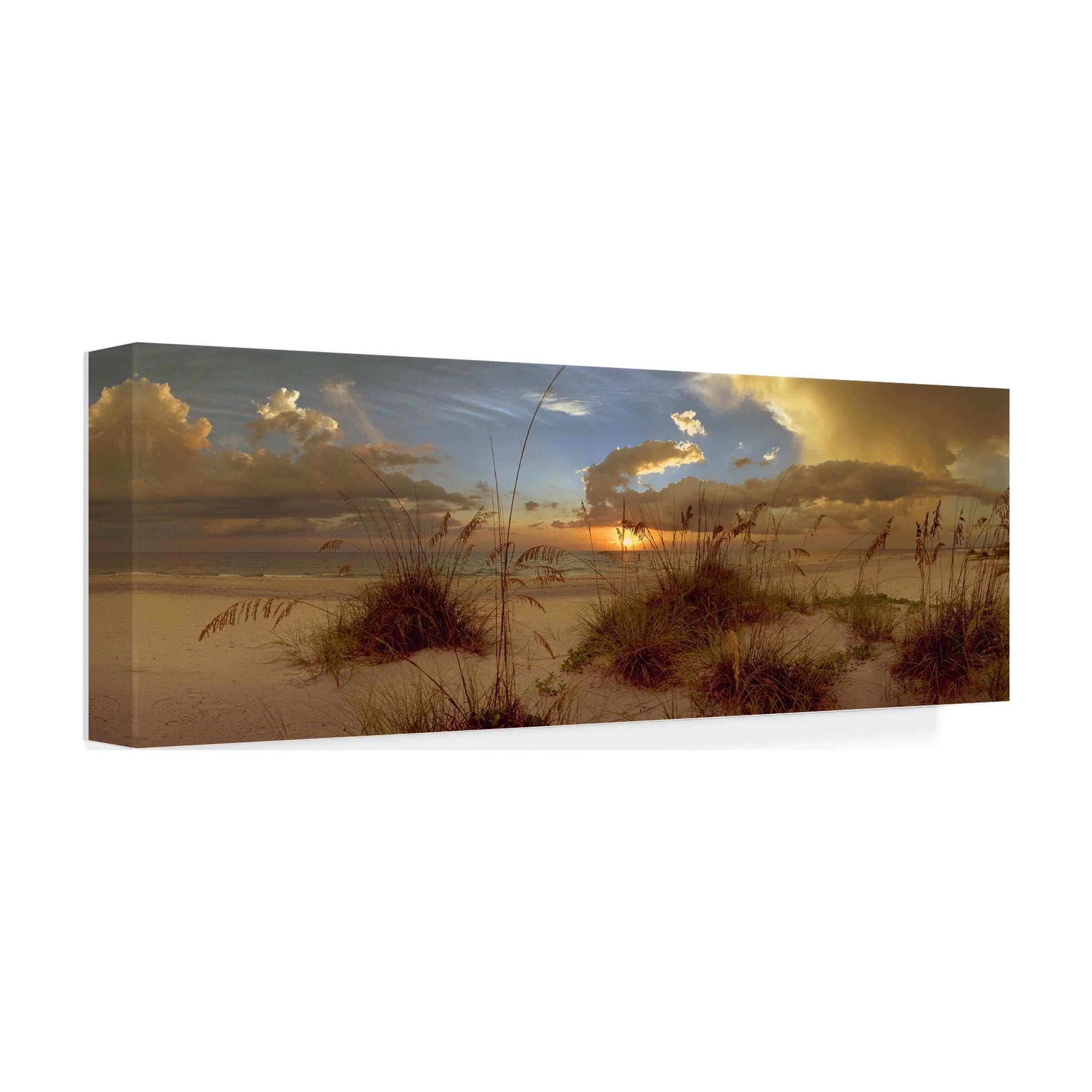 Trademark Fine Art 'Tranquility' Canvas Art by Doug Cavanah