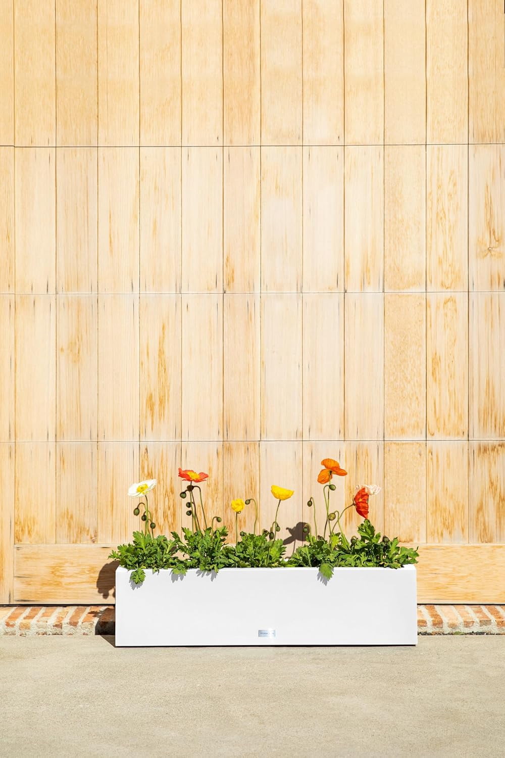 CHTER Block Series Window Box Planter - Rectangular Flower Pot for Indoor or Outdoor Window Sill/Balcony | All-Weather Use with Drainage Holes | Modern Décor for Succulents, Herbs, Small Plants