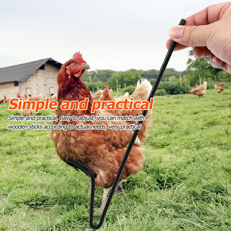 1pc Chicken Catching Pole Steel Trapping Hook Pole Home Chicken