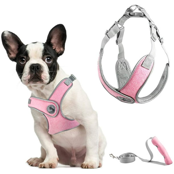 Dog harness pug life hotsell