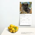 thumbnail image 4 of The Beauty of Black Cats | 2024 12x24" (Hanging) Wall Calendar | StarGifts, 4 of 9