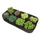 thumbnail image 4 of Bolsa para plantar vegetales suculentos, bolsa para plantar en cuatro partes de fieltro, 180x90x30CM (8 bocas), 1 Uds. Sincero Electrónica, 4 of 5