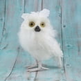 thumbnail image 2 of DOLITY 2Pcs Mini Artificial Owl, Furry Realistic Imitation Taxidermy Home Garden Desk, 2 of 9