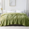 thumbnail image 5 of Whale Flotilla Flannel Fleece 60x80 Inch Twin Size Blanket for Bed, Soft Fluffy Velvet Bedspread Coverlet with Decorative Vintage Pattern for All Season, Warm and Lightweight, Olive Green, 5 of 9