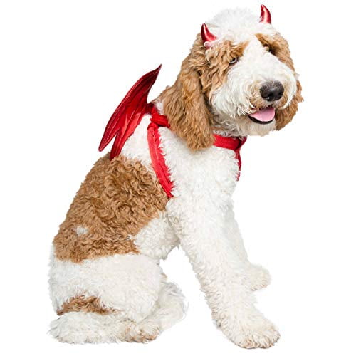 Walmart Dog Halloween Costumes 2022 Pet Halloween Shop