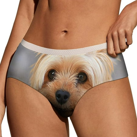 

Womens Panties Soft Lace Briefs Panty Bikini Underwear Sexy Underpants