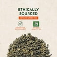 Tea Co. - Organic Gunpowder Green Tea, Grown, Processed and Packed in ...