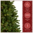 thumbnail image 6 of National Tree Company 12 ft. Pre-Lit Feel Real® Artificial Downswept Douglas® Fir Christmas Tree, Green, Clear Lights, Includes Stand, 6 of 8