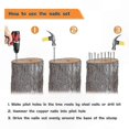thumbnail image 5 of 3.5" Copper Nails for Tree Stump Removal, 25-Pack Pure Copper Spikes Hardware, 5 of 5