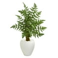 thumbnail image 1 of Nearly Natural 5655 3.5 ft. Ruffle Fern Artificial Palm Tree in White Planter, 1 of 1