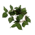 thumbnail image 1 of Herwey Simulation Rattan Landscaping, Climbing Pet Box Green Vine Landscaping Shape For Decoration And Landscaping Of Fish Tanks, 1 of 8