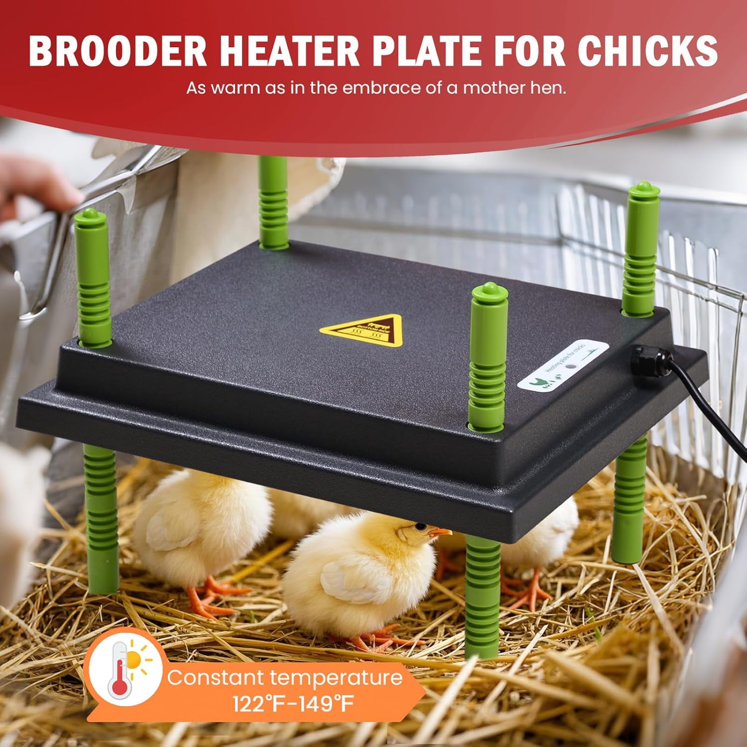 Brooder Box For Chicks BiiKoon Starter Kit Chicken Brooding Box