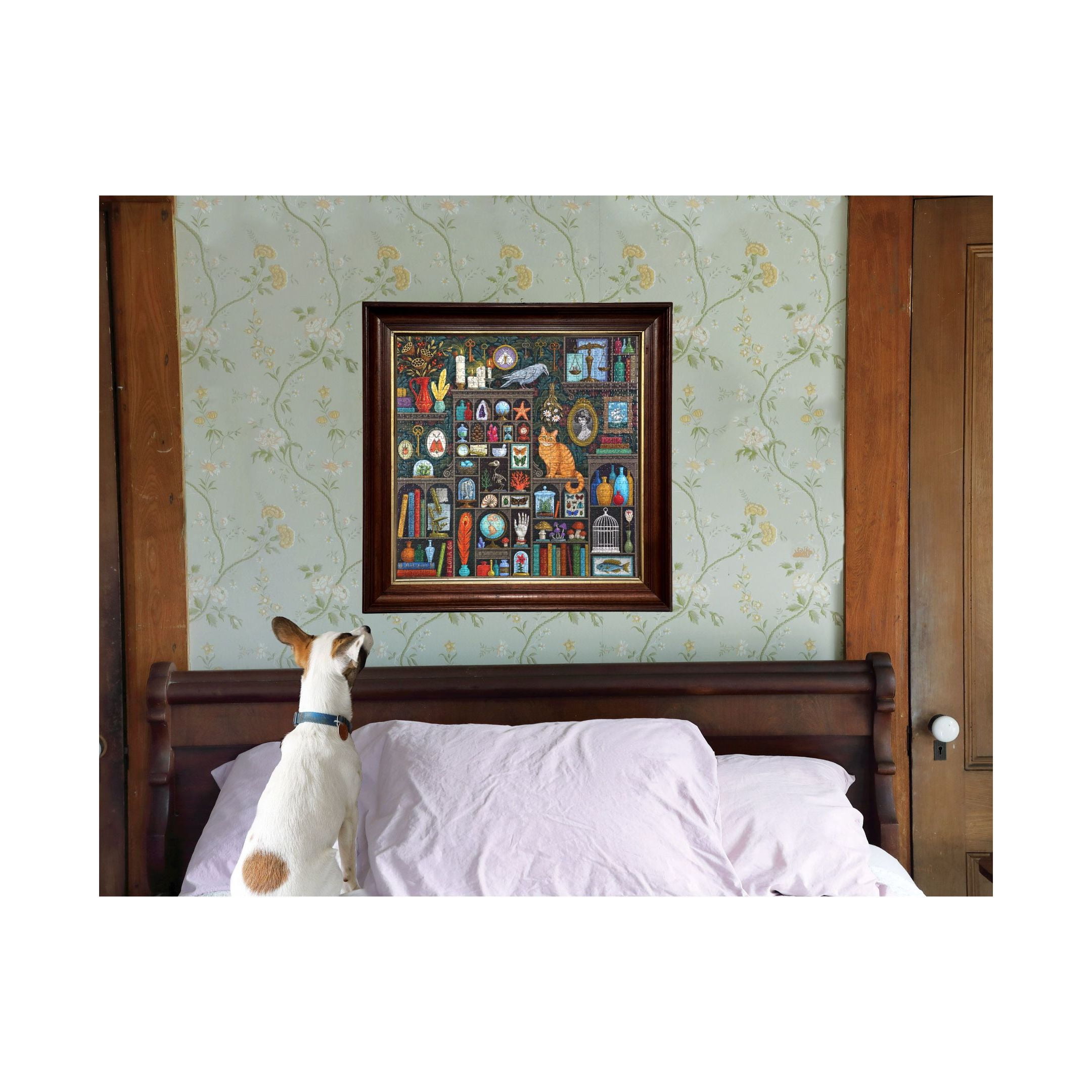 eeBoo Piece and Love Alchemist Cabinet 1000 Piece  Square Jigsaw  Puzzle, 23" x 23" square by Illustrator Vasilisa Romanenko, Ages 14 and Up