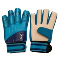 thumbnail image 1 of Tottenham Hotspur Gants de Gardien Garçons/filles FC, 1 of 2