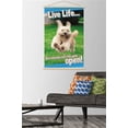 thumbnail image 2 of Avanti - Dog Joy Wall Poster with Magnetic Frame, 22.375" x 34", 2 of 5