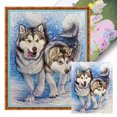thumbnail image 1 of Hilo Algodón Bordado Punto Cruz Con Nieve 11CT 40x50cm, 1 of 9