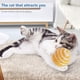 thumbnail image 3 of 8pcs Bolas de cuerda de gato Bola rascador de gato resistente a las mordeduras Juguete de sonido para mascotas Color aleatorio, 3 of 5